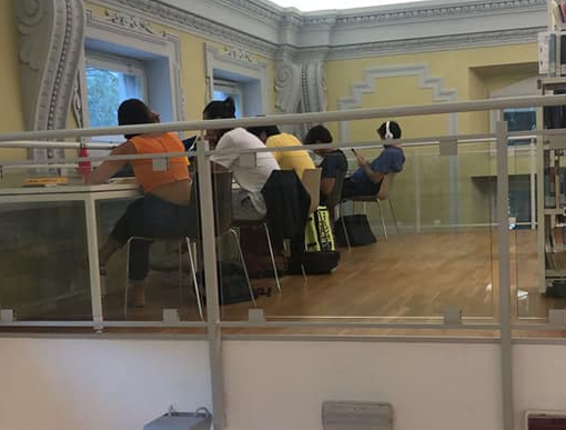 Ragazzi in biblioteca - courtesy Manuela Maffioli