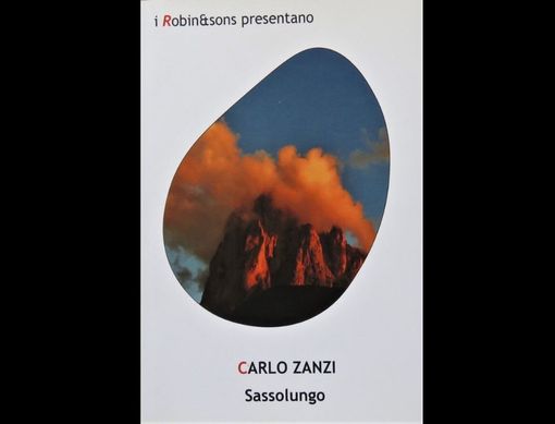 La copertina del libro di Carlo Zanzi