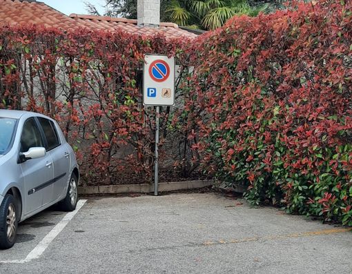 Fratelli d'Italia: «Comune di Albizzate poco attento nei confronti degli utenti con disabilità» Fratelli d'Italia: «Comune di Albizzate poco attento nei confronti degli utenti con disabilità»