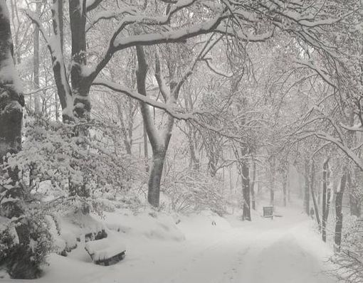 FOTO. Campo dei Fiori sommerso dalla neve: le immagini dalla vetta sono pura magia FOTO. Campo dei Fiori sommerso dalla neve: le immagini dalla vetta sono pura magia