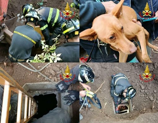 Le operazioni di salvataggio di Sicily Le operazioni di salvataggio di Sicily