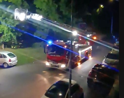 Immagine e video per cortesia di Alex Immagine e video per cortesia di Alex