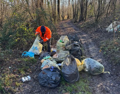 I rifiuti abbandonati in un bosco di Travedona Monate (foto dalla pagina Facebook del Comune) I rifiuti abbandonati in un bosco di Travedona Monate (foto dalla pagina Facebook del Comune)