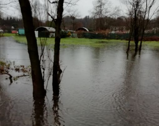 Varese, il canile di via Friuli è allagato: animali in ostaggio dell’acqua