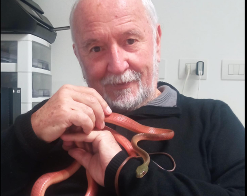 Schneider aveva 77 anni Schneider aveva 77 anni