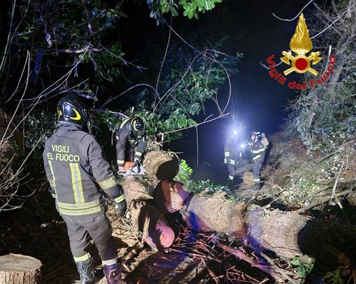 Vento forte su tutta la provincia: alberi caduti a Cadrezzate