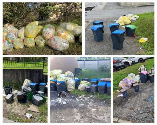 Tempi sempre più grami per chi non rispetta l'igiene urbana: a Varese è in arrivo l'Ispettore Ambientale Tempi sempre più grami per chi non rispetta l'igiene urbana: a Varese è in arrivo l'Ispettore Ambientale