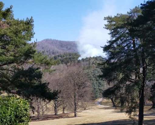 Incendio nel parco del Campo dei Fiori, in azione i soccorsi Incendio nel parco del Campo dei Fiori, in azione i soccorsi