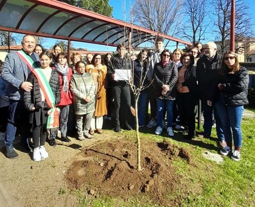 FOTO. Tutta Daverio ricorda la maestra Milena piantando un melograno: «Simbolo della vita e della natura che tanto amava»