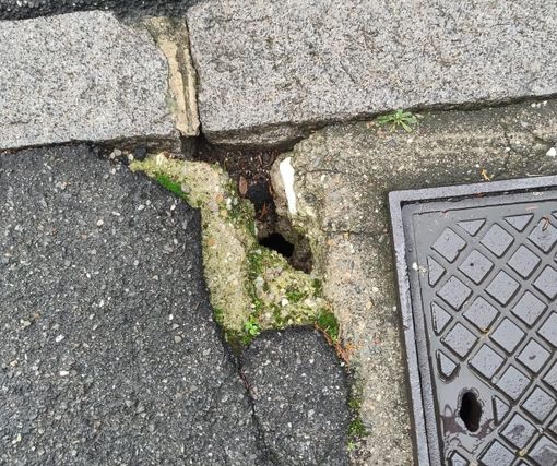 Uno dei possibili varchi" utilizzati dai ratti che frequentano le vie Castiglioni e XX Settembre Uno dei possibili varchi" utilizzati dai ratti che frequentano le vie Castiglioni e XX Settembre