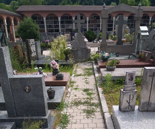 FOTO. Azzate, cimitero sommerso dalle erbacce: «Due mesi senza manutenzione»