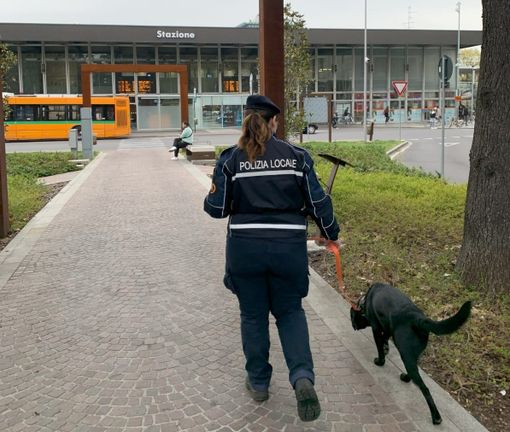 La Polizia locale con Zorro - foto d'archivio