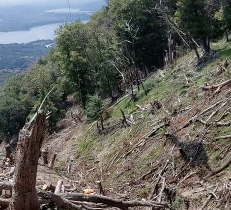 Lavori di mitigazione del rischio in Val Tinella, rimossi oltre 4.000 quintali di legna morta