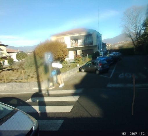 Le immagini della fototrappola di Malgesso pubblicata sulla pagina Facebook del Comune Le immagini della fototrappola di Malgesso pubblicata sulla pagina Facebook del Comune