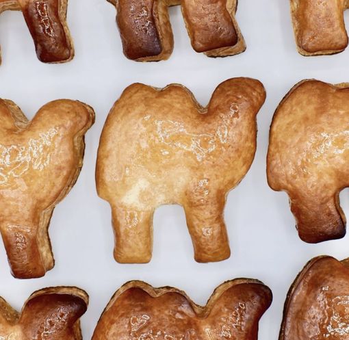 I "cammelli" di Varese fanno sempre più gola: «Diventi un prodotto Dop»