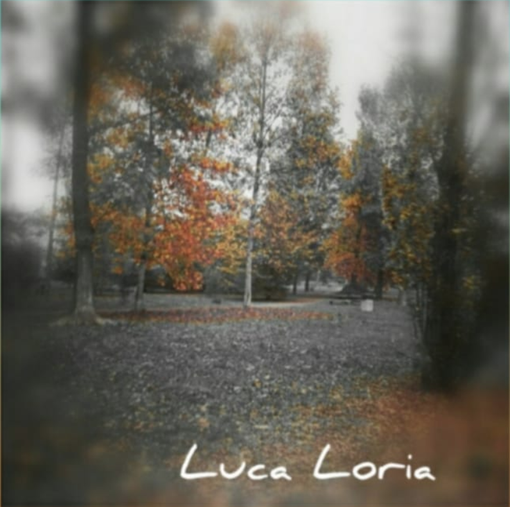 I colori dell'autunno sono i colori dell'anima: ecco uno degli scatti del fotografo Luca Loria in mostra a Varese