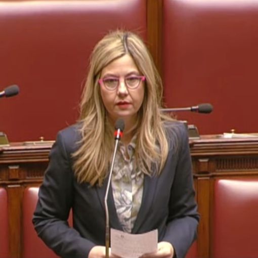 Milleproroghe, Gadda: «Semplificare regime Iva Terzo settore»