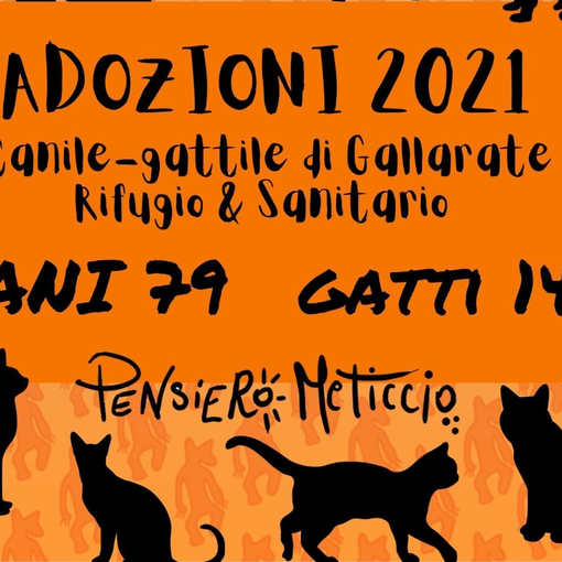 Gallarate, in un anno adottati 226 animali