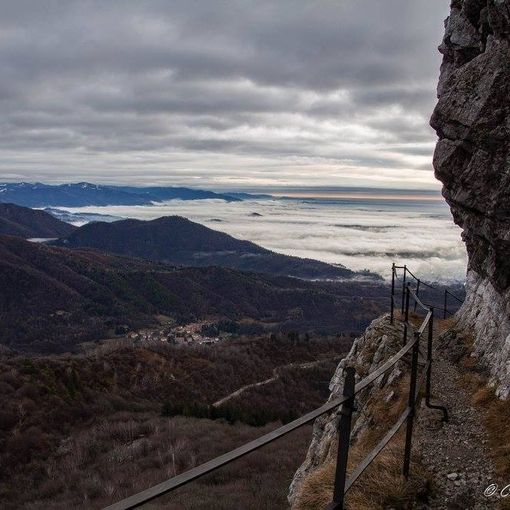 (foto dal sito della Campo dei Fiori Trail)
