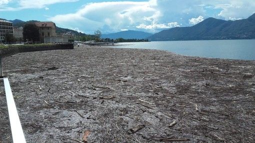 Quando la spiaggia è sul lago: al via da oggi la stagione balneare in Piemonte