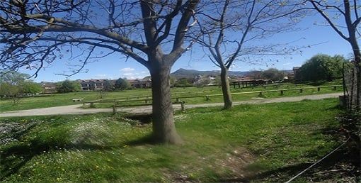 Adotta un’area verde: l’iniziativa del Comune di Arcisate rivolta a imprese e a privati