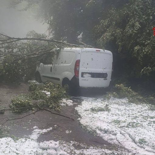Grandine e raffiche anche nell'alto Varesotto: a Grantola furgone colpito da un albero