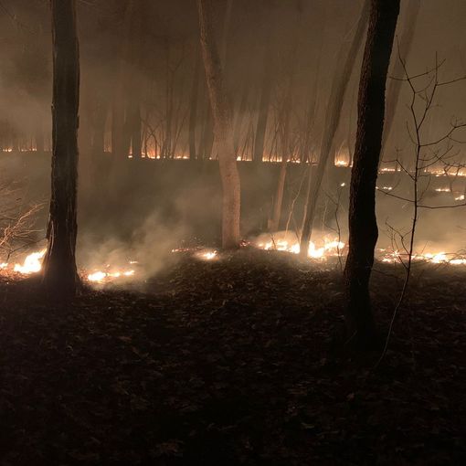 Il bosco in fiamme a Marnate