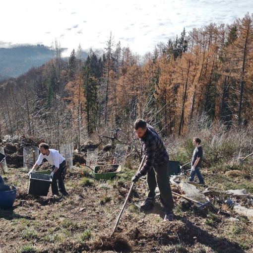 Due progetti per far rivivere il vecchio Campo dei Fiori devastato da incendi e tempeste