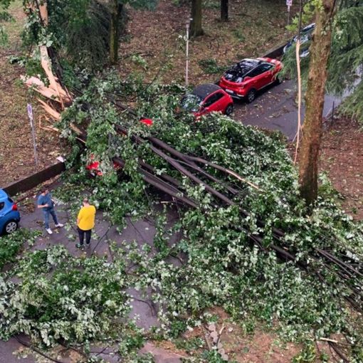 FOTO. Il maltempo colpisce anche l'ospedale di Tradate: allagamenti, alberi caduti e ripercussioni sull'attività sanitaria
