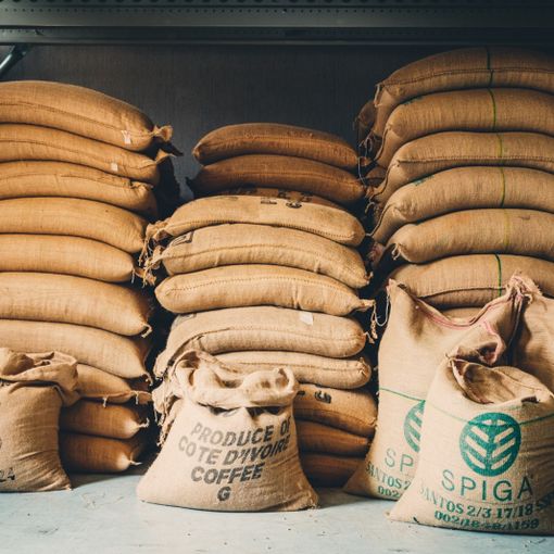 Quando bere il caffè diventa cultura: «Migliorare le proprie abitudini significa diventare più sostenibili»