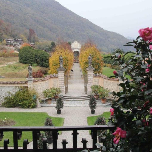Una giornata delle camelie autunnale tra stand, giardini, tè, mostre e un bicchiere in cantina a Villa Della Porta Bozzolo