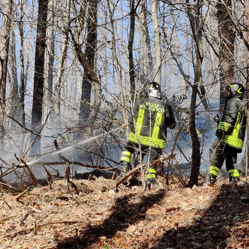VIDEO E FOTO. Continua la battaglia contro l'incendio al parco Campo dei Fiori