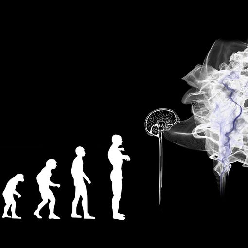 I bias cognitivi: conoscerli per riconoscerli