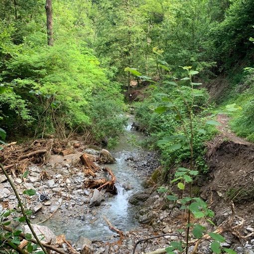 Chiuse per motivi di sicurezza le Cascate di Cittiglio. Il sindaco: «Il maltempo di giugno ha distrutto tutti i sentieri e i passaggi» Chiuse per motivi di sicurezza le Cascate di Cittiglio. Il sindaco: «Il maltempo di giugno ha distrutto tutti i sentieri e i passaggi»