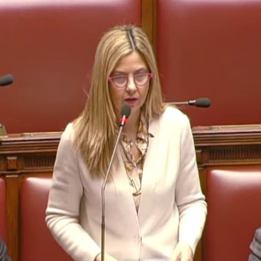4 Novembre, Gadda: «Ok a proposta di legge, giusto coltivare unità paese»