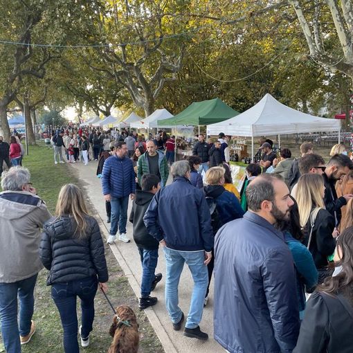Festa della Zucca di Gavirate: buona la prima. Domenica il secondo appuntamento sul lungolago
