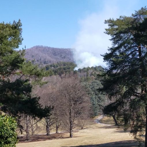 Incendio nel parco del Campo dei Fiori, in azione i soccorsi