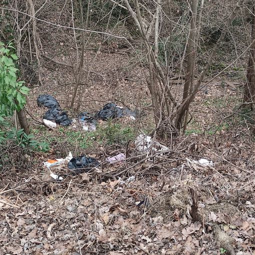 Spazzatura tra i boschi di Casbeno: discarica denunciata in via Toti