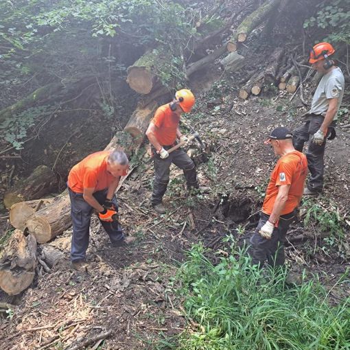 Il territorio di Comerio più pulito e sicuro grazie al gruppo antincendio boschivo
