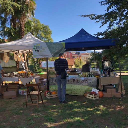 I Giardini Estensi diventano un grande mercato a chilometro zero: appuntamento con la &quot;Fiera del Des&quot;