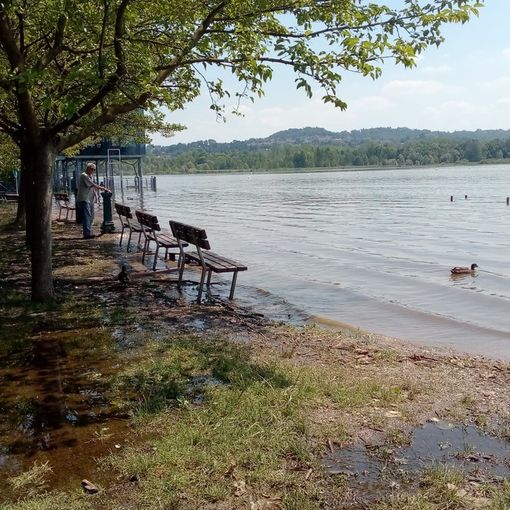 Lago di Varese, via ai bagni. Ma alla Schiranna non si tuffa (per ora) quasi nessuno