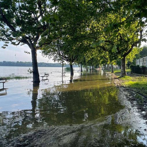 Gavirate rimanda la balneabilità del lago al 2025