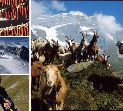 Tutti i volti del Monte Rosa, il fotografo Meazza racconta la montagna del destino