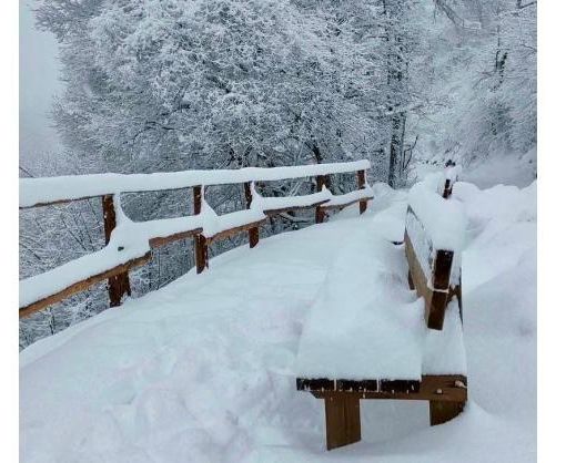 Il belvedere del Campo dei Fiori nell'immagine di Paola Prestinoni postata dalla pagina Facebook del Comune di Varese