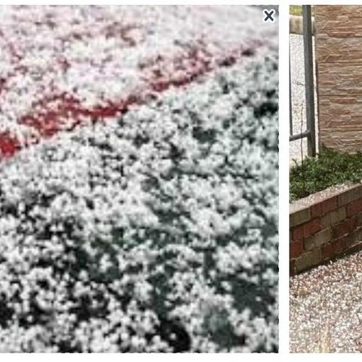 Il graupe, cioè il fenomeno della neve tonda ha interessato questa mattina alcune zone tra Varese e Biandronno (foto tratte da NaturalMeteo) Il graupe, cioè il fenomeno della neve tonda ha interessato questa mattina alcune zone tra Varese e Biandronno (foto tratte da NaturalMeteo)