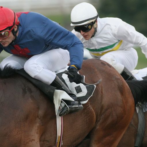 Ippodromo, stagione al via in ritardo e senza pubblico. Ma almeno si parte