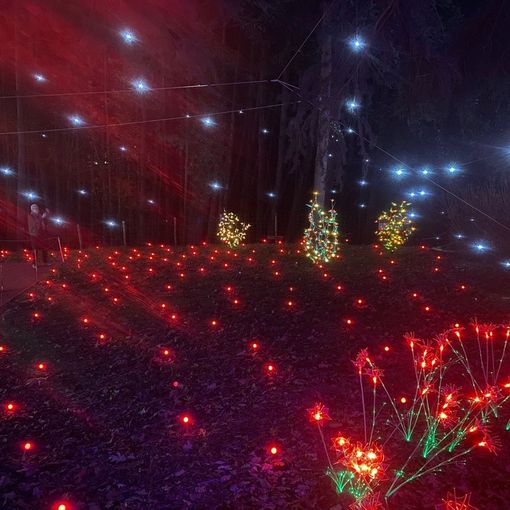 L'idea più bella delle feste: visitare le lucine di Leggiuno. Orari, biglietti e aperture