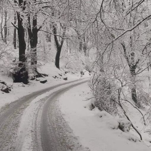 In giornata è attesa la prima neve al Campo dei Fiori