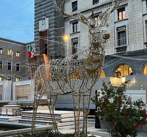 Venerdì l'accensione dell'albero in piazza Monte Grappa e delle luci nelle vie di Varese