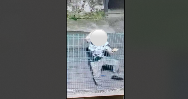 Il responsabile di furti e danneggiamenti immortalato dalla videosorveglianza (immagini diffuse dal Comune di Cavaria) Il responsabile di furti e danneggiamenti immortalato dalla videosorveglianza (immagini diffuse dal Comune di Cavaria)